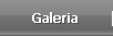 Galeria de fotos
